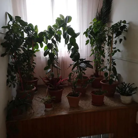 Biela Labut Гостевой дом Михаловце