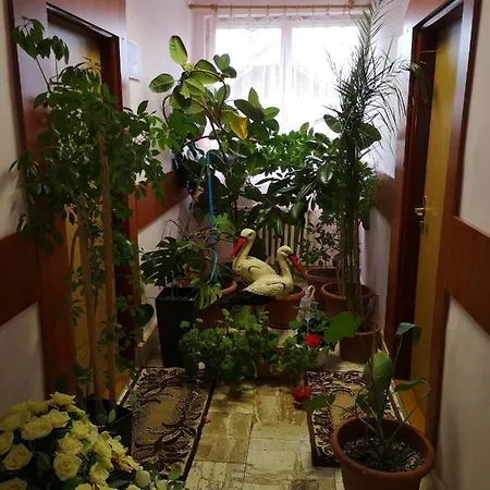 Гостевой дом Biela Labut Михаловце